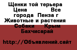 Щенки той терьера › Цена ­ 10 000 - Все города, Пенза г. Животные и растения » Собаки   . Крым,Бахчисарай